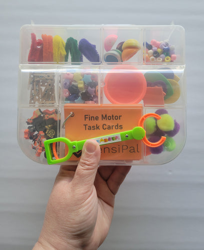 Fine Motor Skills Kit
