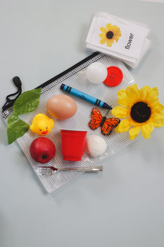 Object and Picture Match Game