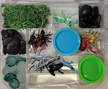 Sensory Bins- Assorted Themes