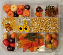 Sensory Bins- Assorted Themes